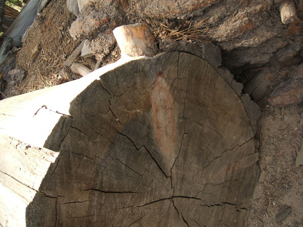 http://plywoodtree.grographics.com/images/yosemite44.jpg