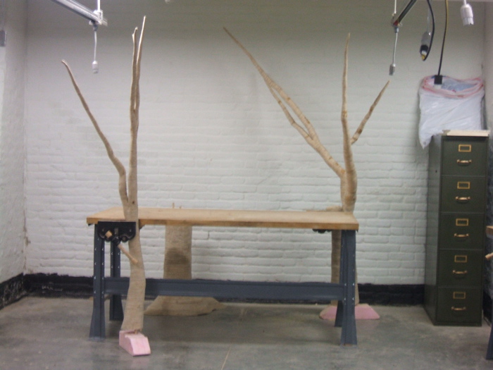 christopher robbins, plywood tree   2607.JPG