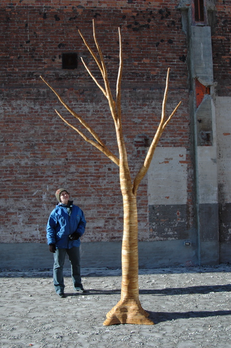 christopher robbins, plywood tree   0010.JPG