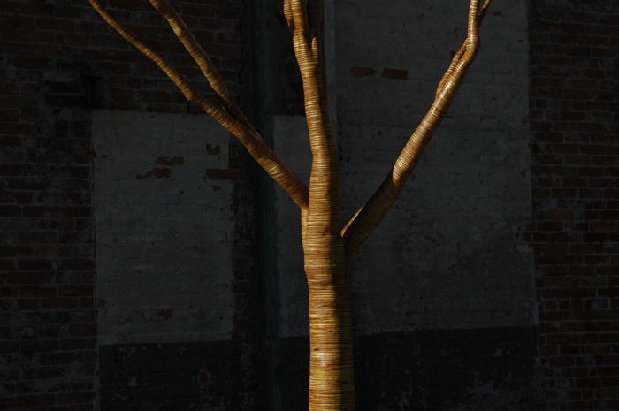 christopher robbins, plywood tree   0172.JPG