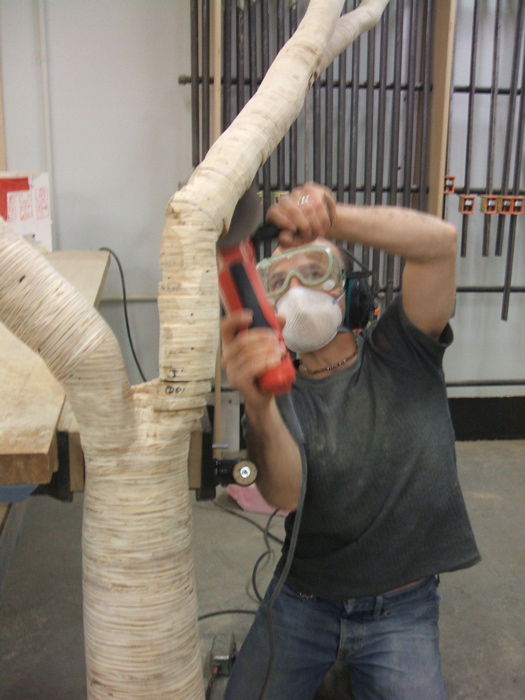 christopher robbins, plywood tree   2603.JPG